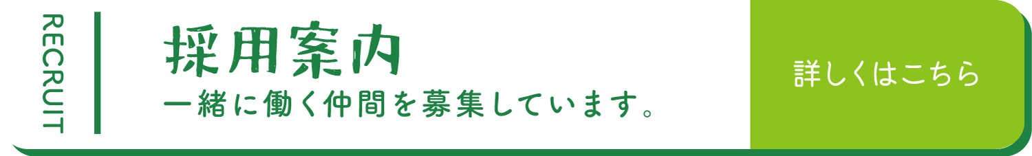 採用案内