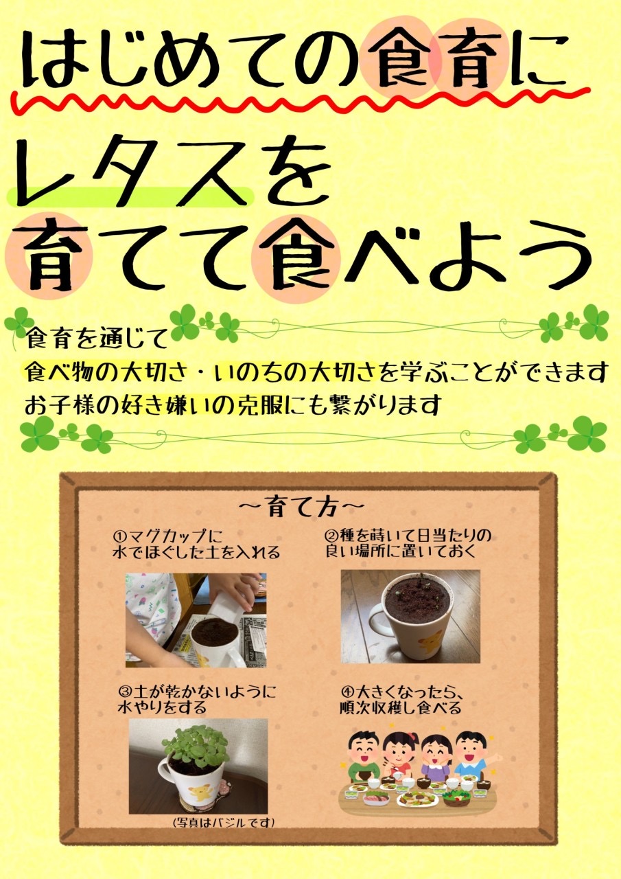 コンテンツ画像